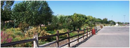 Photograph of the Arboretum Park showing parking lot, wood fence, trees and shrubs