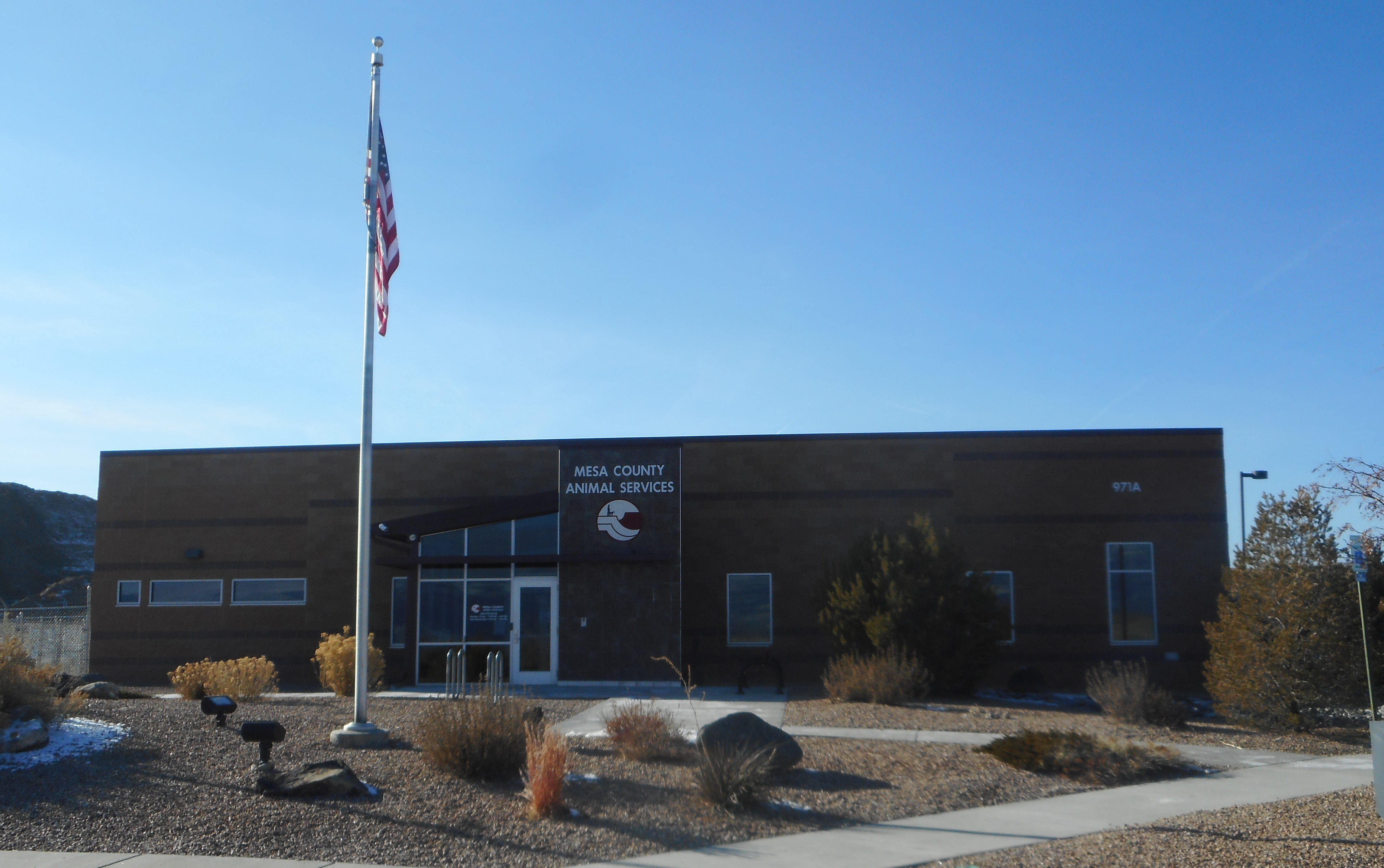Animal Services Department | Mesa County