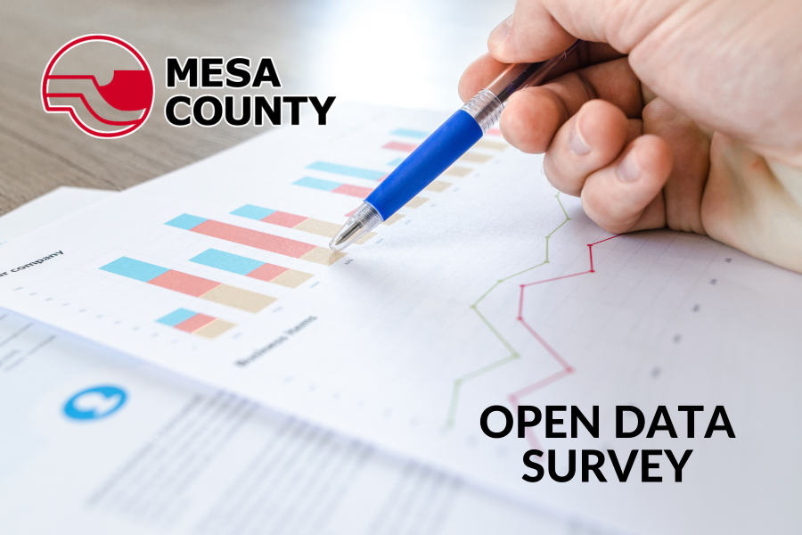 Graphic for Open Data Survey