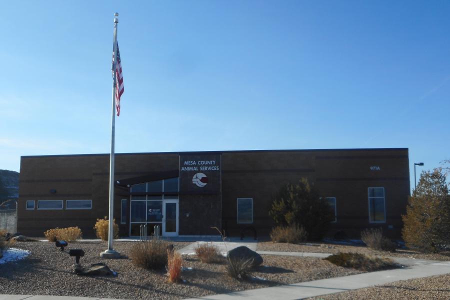 Photograph of the Mesa County Animal Services Building Front with US Flag on pole