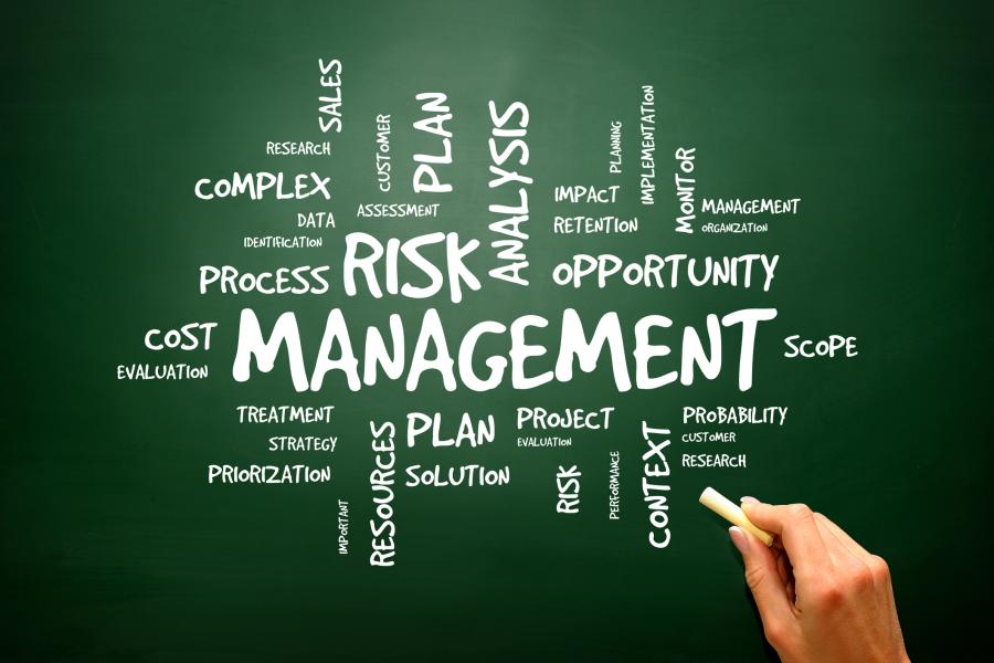 Graphic of Risk Management concept diagram with terms for Plan, Analysis, Opportunity, Process, Scope, Complex, Cost, Resources and many other terms