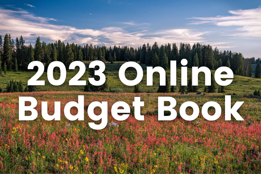Pink and yellow flower field, pine trees, and blue sky with text reading 2023 Online Budget Book.