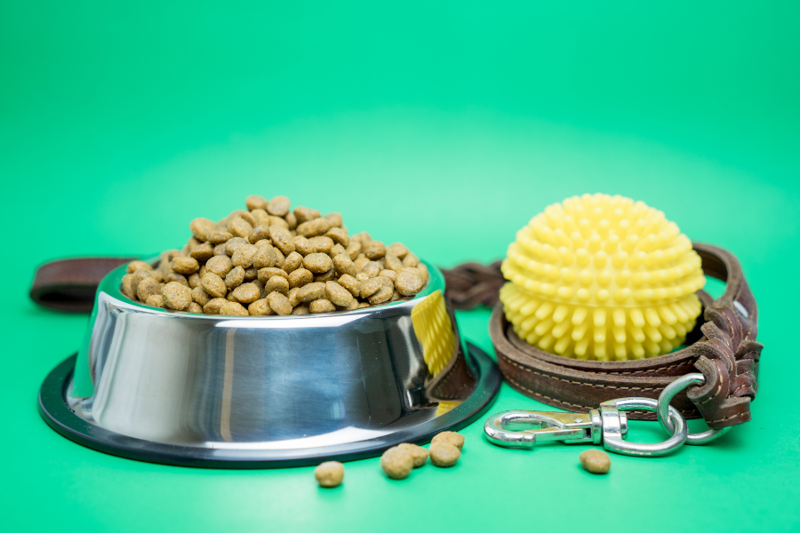 Dry dog food in silver bowl next to brown leather leash and yellow textured rubber ball toy.