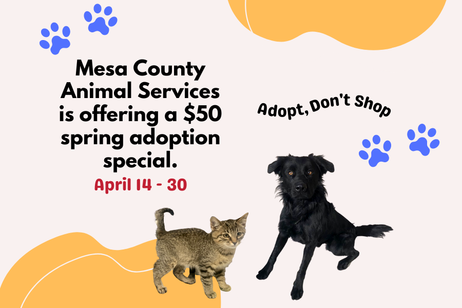 Graphic including multicolored cat and black dog at the bottom and blue paw print elements in background reading "Mesa County Animal Services is offering a $50 spring adoption special. April 14 - 30" on the left of the graphic. To the right of that text reads "Adopt, Don't Shop". The Mesa County Animal Services logo is included on the bottom right of the graphic. 