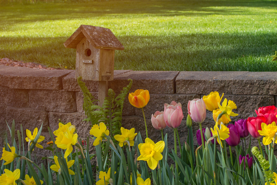 Garden of yellow, pink, purple, and orange flowers and a wooden bird house in a back yard. 