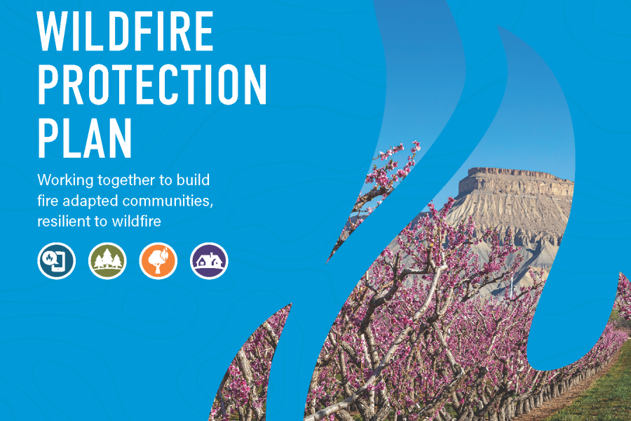 Cover of the Community Wildfire Protection Plan