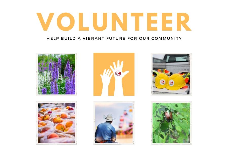 Six different photos showcasing noxious weeds, two hands, two yellow construction hats, peaches, a man in a cowboy hat facing a ferris wheel, and a Japanese beetle. There is yellow and black text reading, "VOLUNTEER HELP BUILD A VIBRANT FUTURE FOR OUR COMMUNITY."