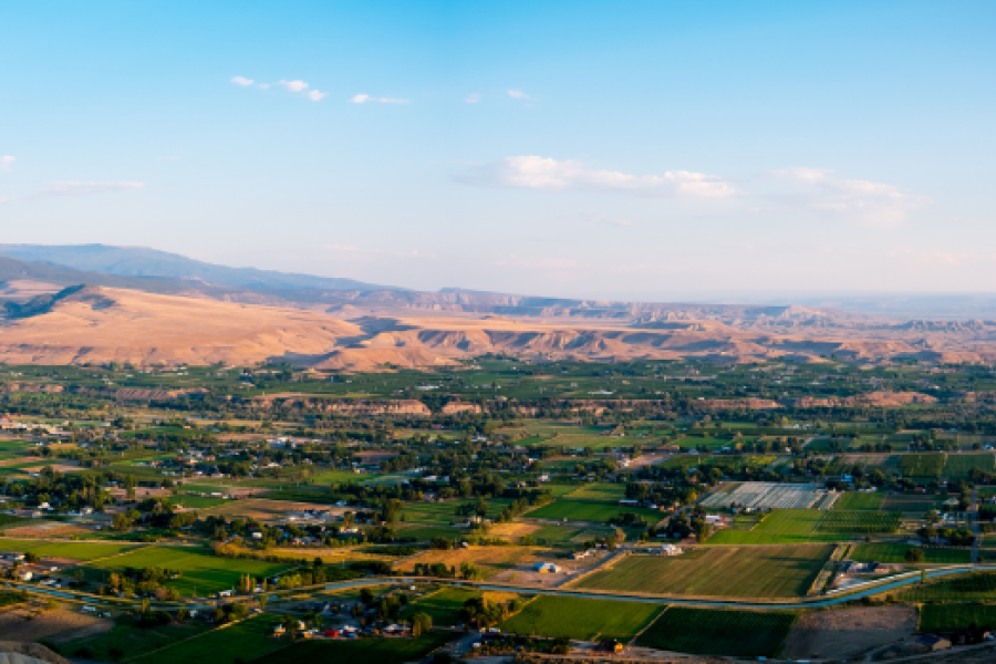 birdseye view of Grand Valley, showing homes, farms, and trees, with Grand Mesa in the background
