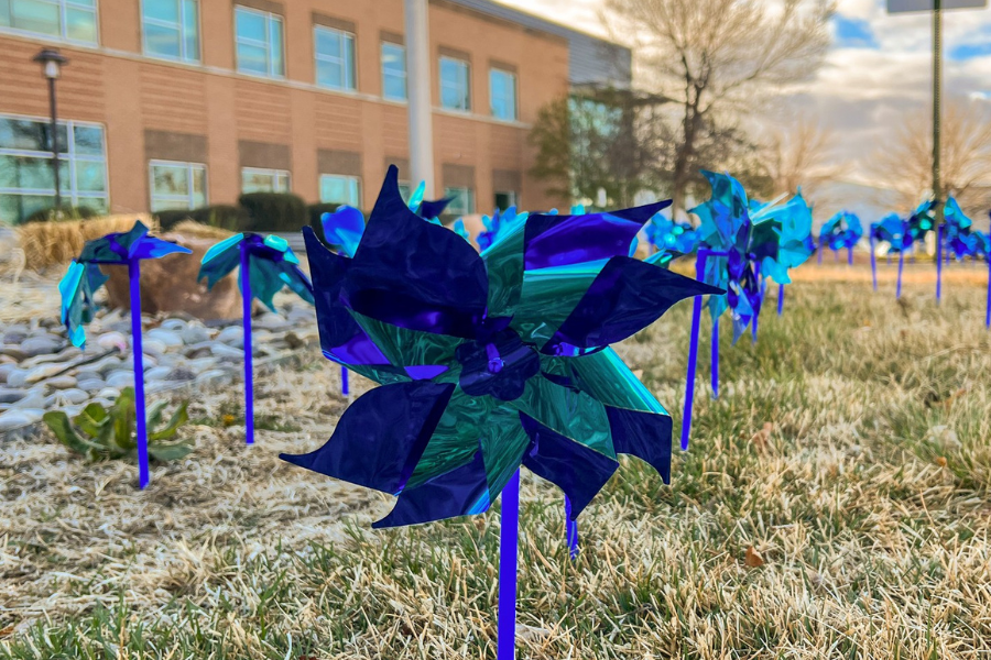 A blue pinwheel planted on grass