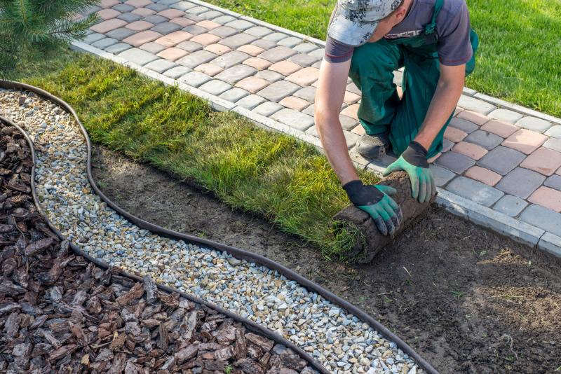 Photograph of a landscaper installing a roll of sod with cobblestone path, area of wood mulch and rocks