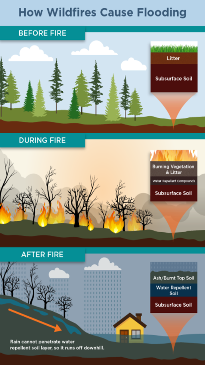 Graphic showing how wildfires cause flooding.  Before fire - litter and subsurface soil.  During fire - burning vegetation and litter, water repellent compounds, subsurface soil, After fire - Ash/Burnt top soil, water repellent soil, subsurface soil.  Rain cannot penetrate water repellent soil layer, so it runs off downhill
