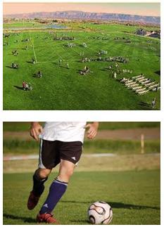 Photograph collage of soccer fields in local parks.  One photo shows aerial view of soccer field while teams are playing, other photo shows a man running and kicking a soccer ball