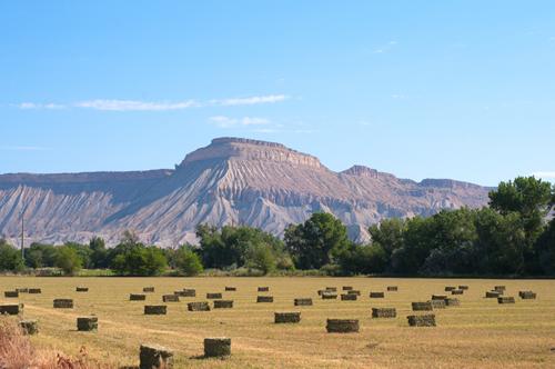 Photograph of field with bales of hay and the desert mountains and cliffs that make up the Bookcliffs that stretch almost 200 miles across western Colorado and eastern Utah.