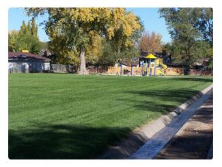 Photograph of grass area at Village Nine Park with mature trees and playground equipment in the background