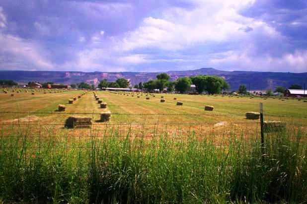 Photograph of Pasture in Fruita Colorado with bales of hay in the field and the Colorado National Monument in the background