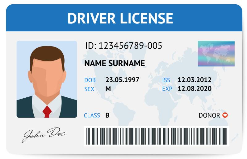Photograph of a sample Drivers License