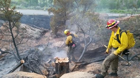 Photograph of two members of Wildland Fire Team fighting a fire.  One member using a chainsaw to cut a burned tree down