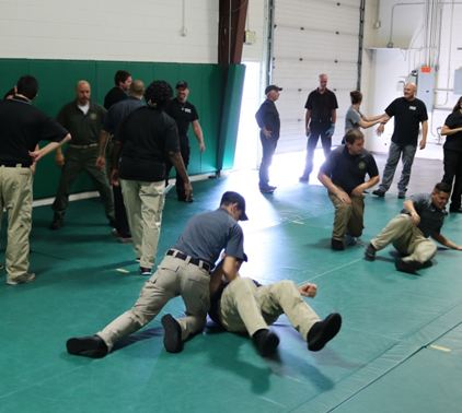Photograph of Group in physical training session practicing taking people down and subduing them