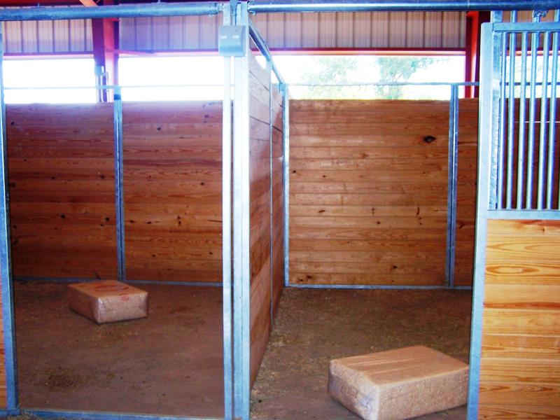 Photograph of interior of stalls in stables