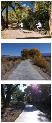Three paths shown. First with gravel and trees, second with open skies and desert brush, third with pavement and trees 