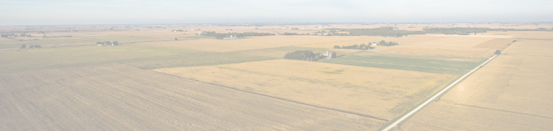 Hazy view of several agricultural fields growing hay or wheat that is tan colored with one green field in the center