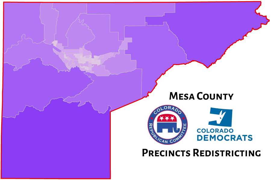 Graphic - Voting Precincts